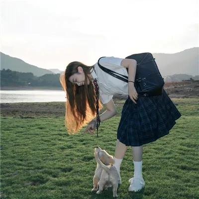 消失的收藏家